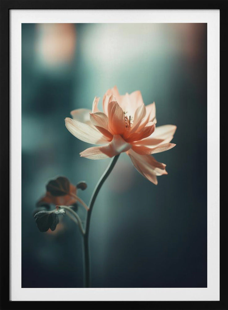 Bloemblaadjessereniteit | Poster
