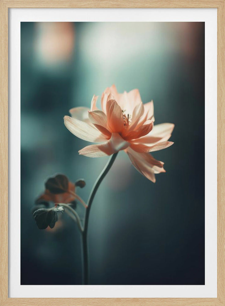 Bloemblaadjessereniteit | Poster