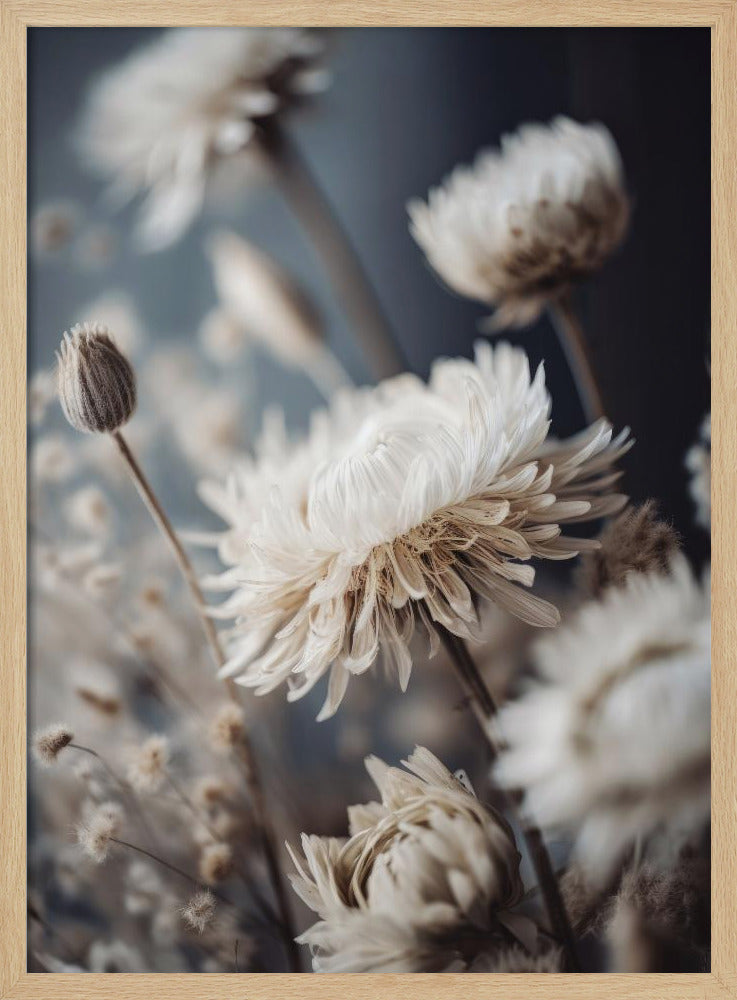 Bloemblaadjes in Fluister | Poster