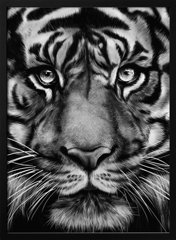 Tijger | Poster