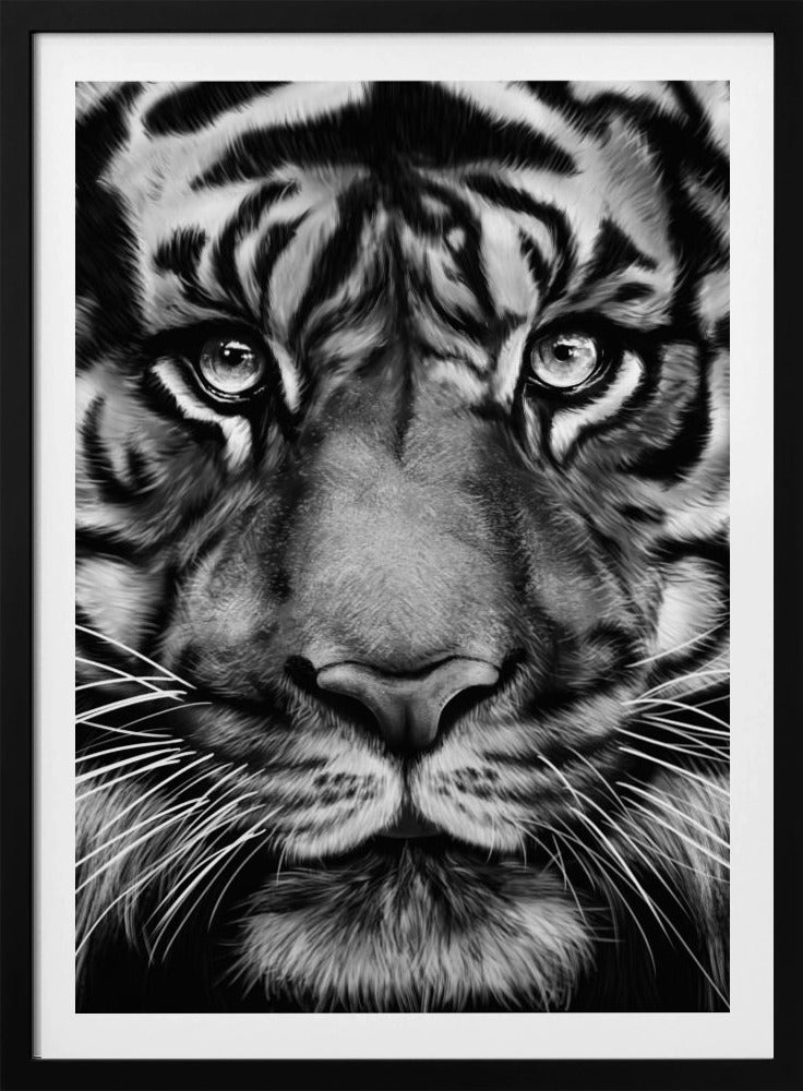 Tijger | Poster