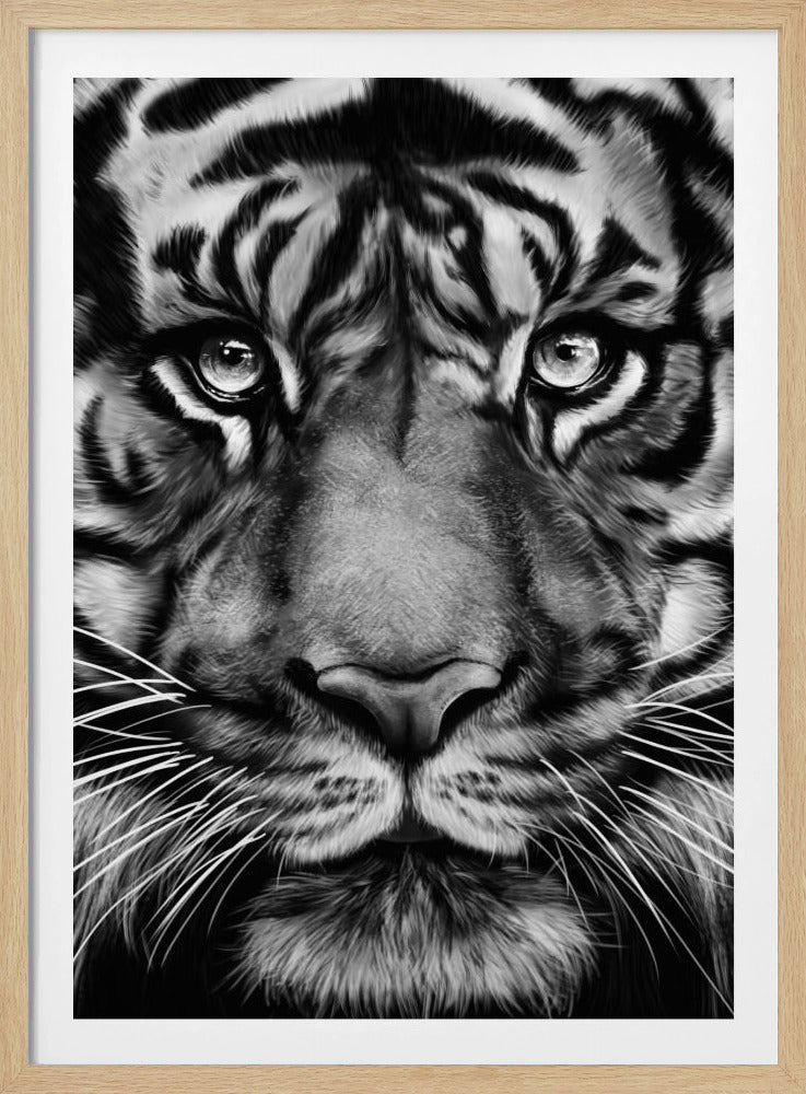 Tijger | Poster