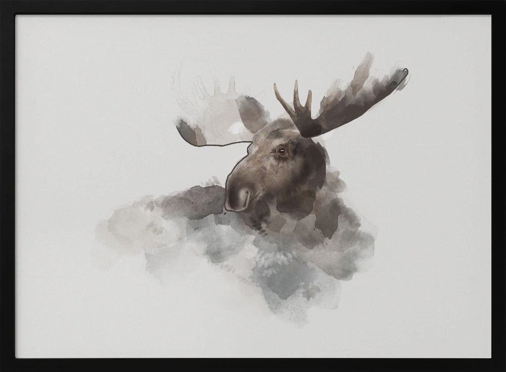 Eland | Poster