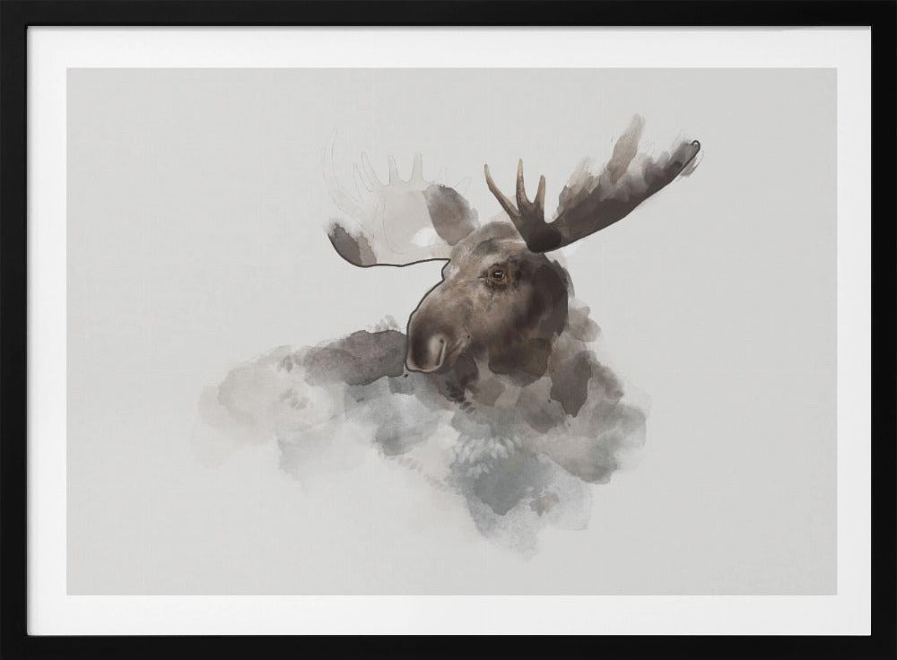 Eland | Poster