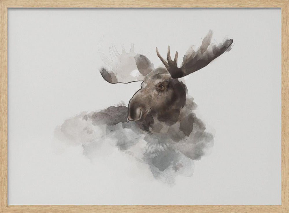 Eland | Poster