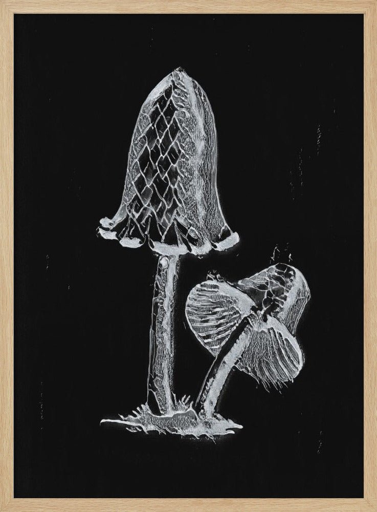 Vintage Inky Cap eetbare paddenstoel donker zwart-wit | Poster