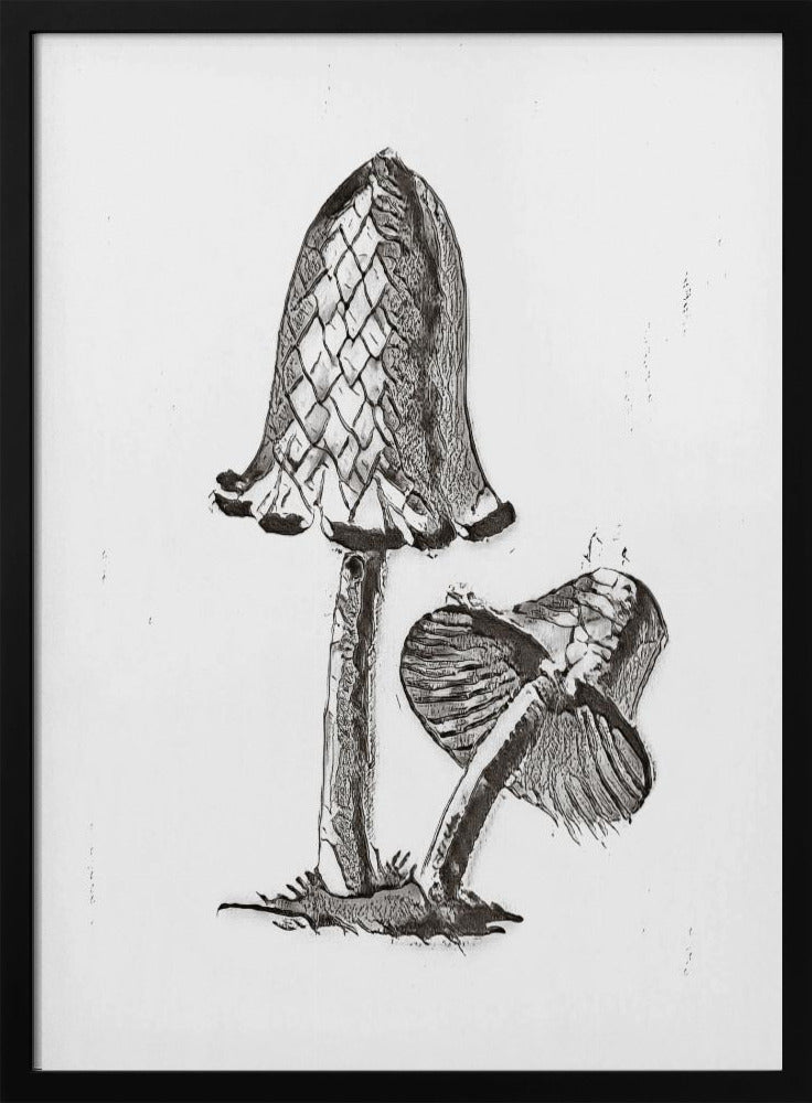Vintage Inky Cap eetbare paddenstoel zwart-wit helder | Poster
