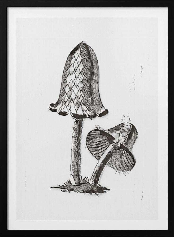 Vintage Inky Cap eetbare paddenstoel zwart-wit helder | Poster