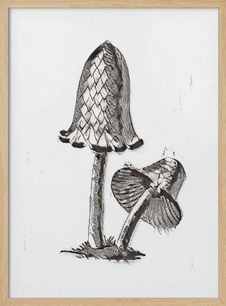 Vintage Inky Cap eetbare paddenstoel zwart-wit helder | Poster