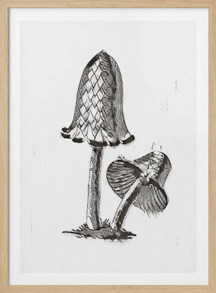 Vintage Inky Cap eetbare paddenstoel zwart-wit helder | Poster