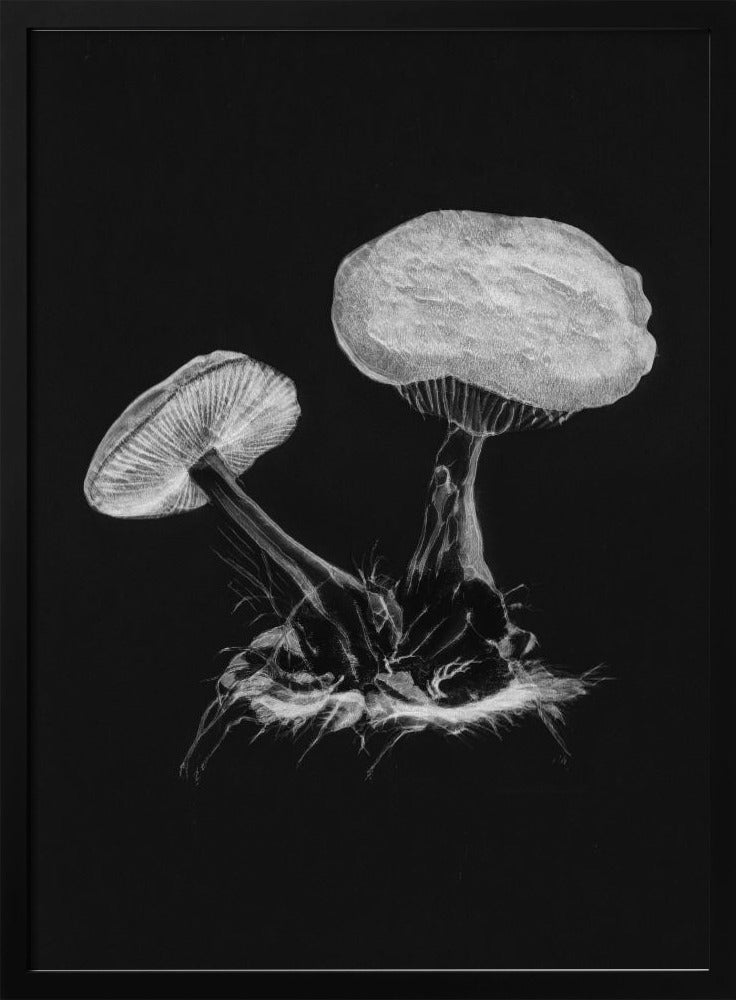 Vintage Violet Webcap Mushroom Donker Zwart | Poster