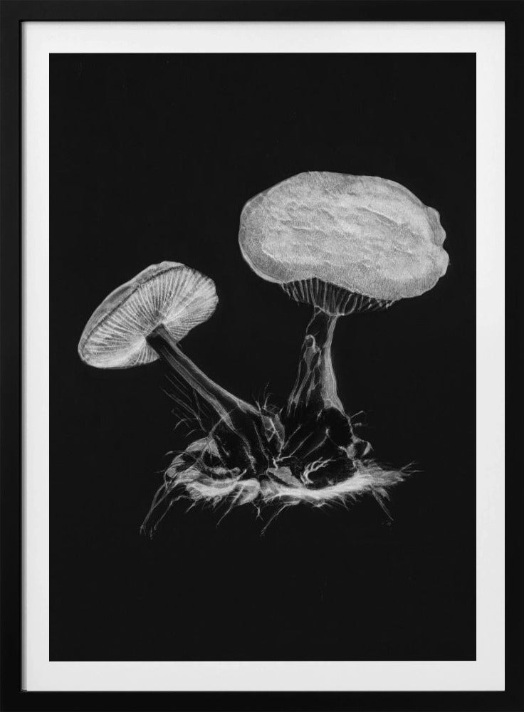 Vintage Violet Webcap Mushroom Donker Zwart | Poster