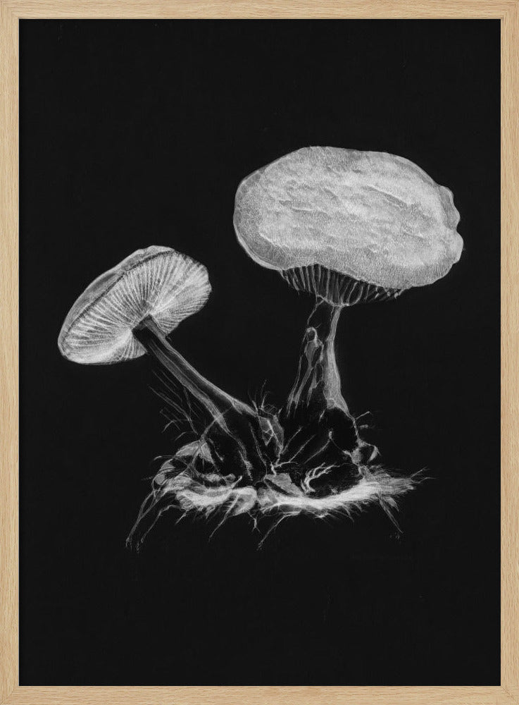 Vintage Violet Webcap Mushroom Donker Zwart | Poster