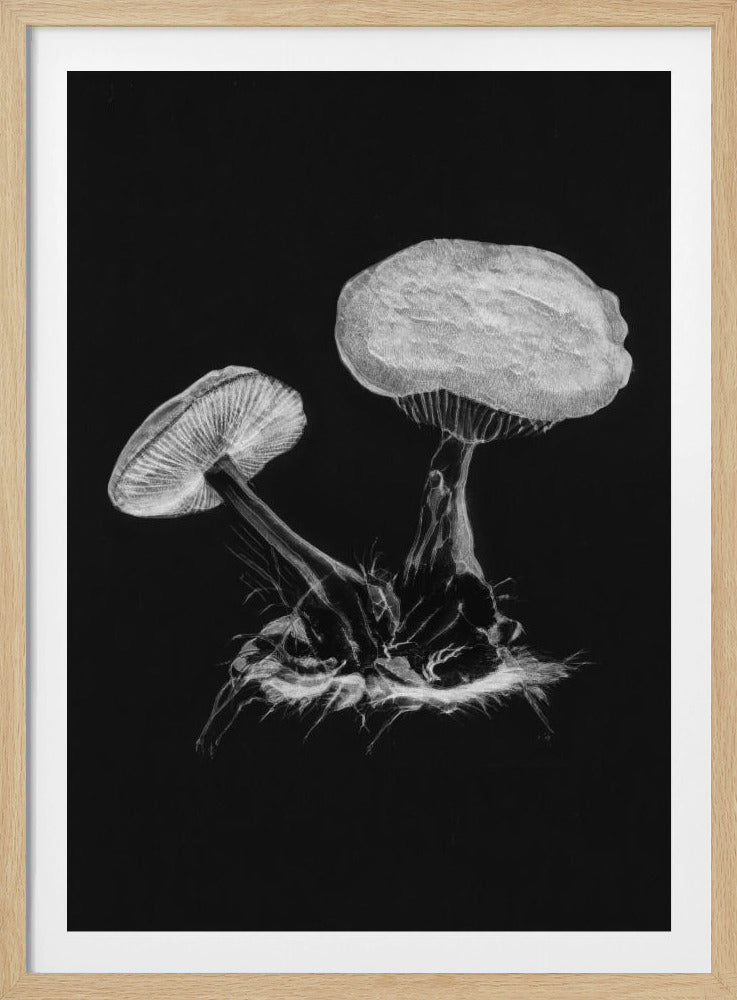 Vintage Violet Webcap Mushroom Donker Zwart | Poster