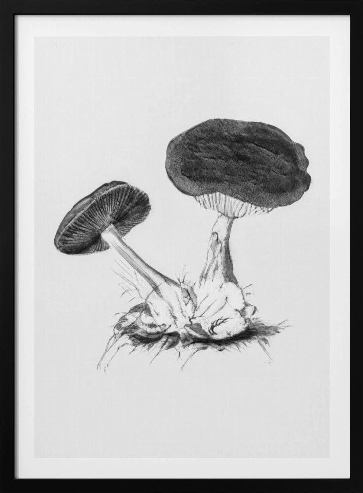Vintage Violet Webcap Mushroom Helder Zwart | Poster