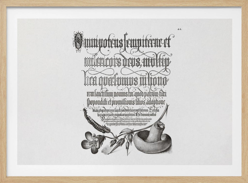 Duizendpoot, bosooievaarsbek en paddenstoel Bw horizontaal | Poster