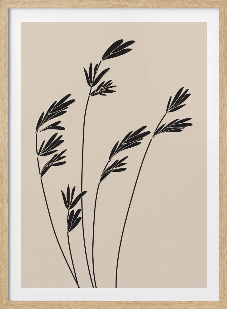 Zwarte planten | Poster