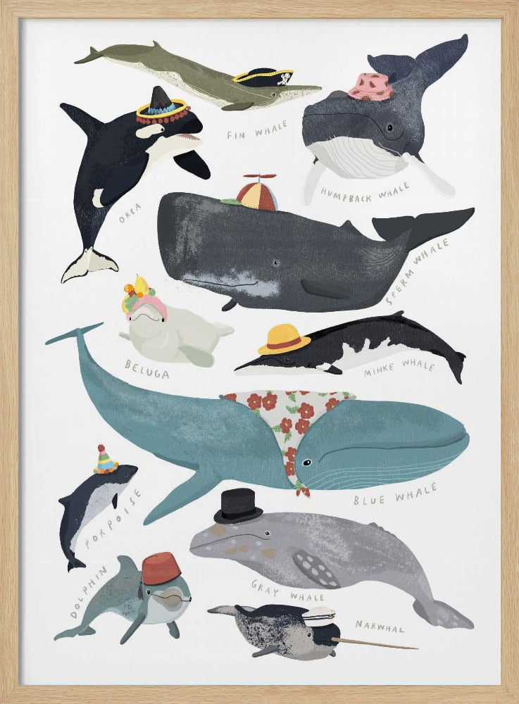 Walvissen in hoeden | Poster
