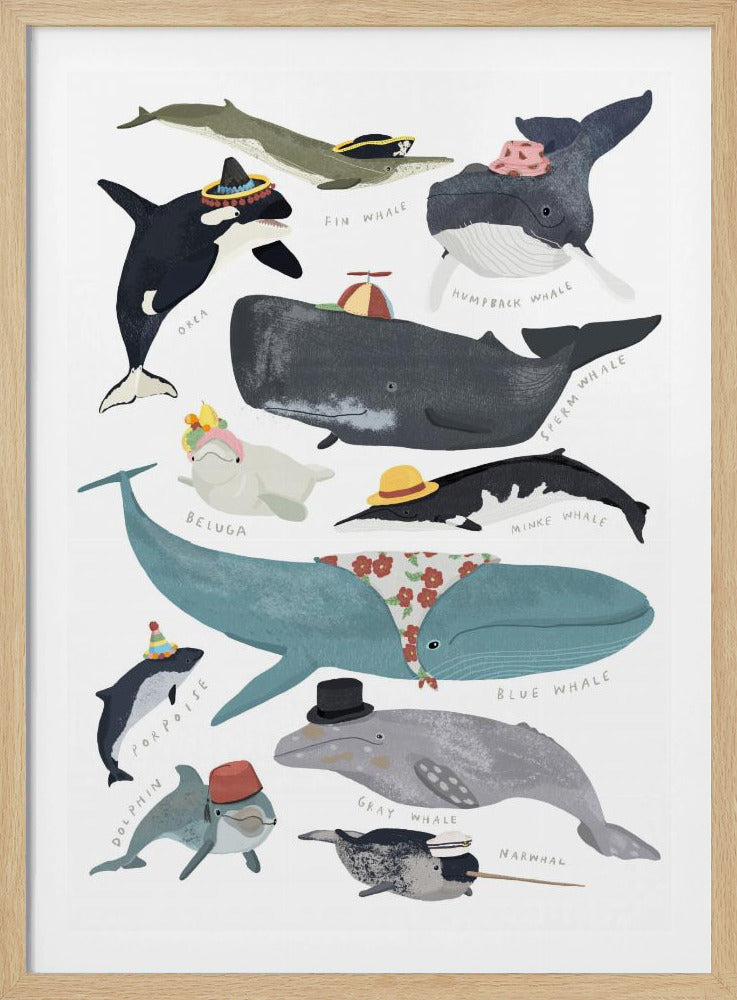 Walvissen in hoeden | Poster