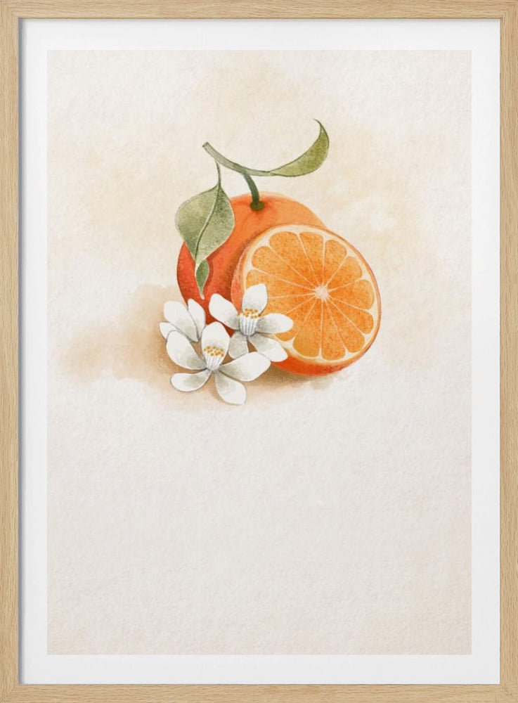 Sappige Sinaasappel | Poster