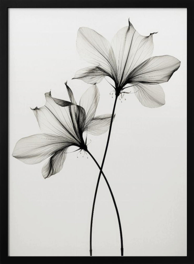 Whispers of Petals | Poster