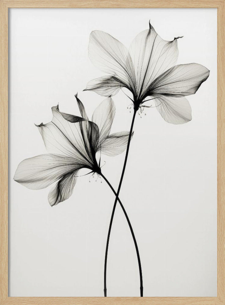Whispers of Petals | Poster