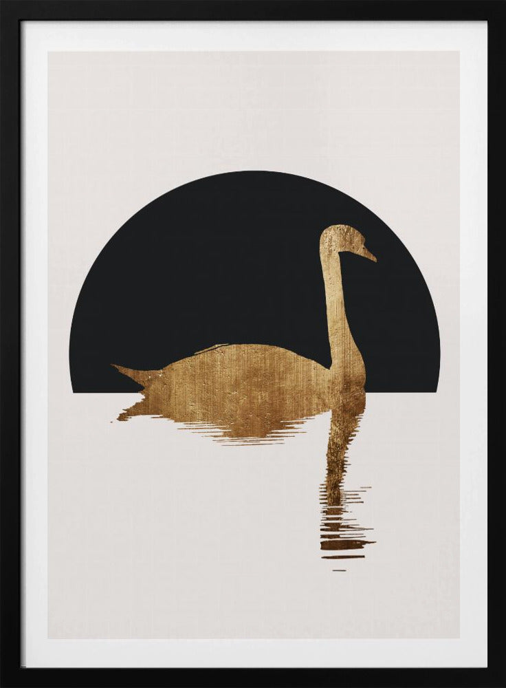 De Zwaan Zwart | Poster