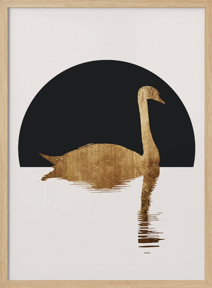 De Zwaan Zwart | Poster