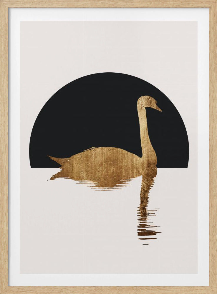 De Zwaan Zwart | Poster