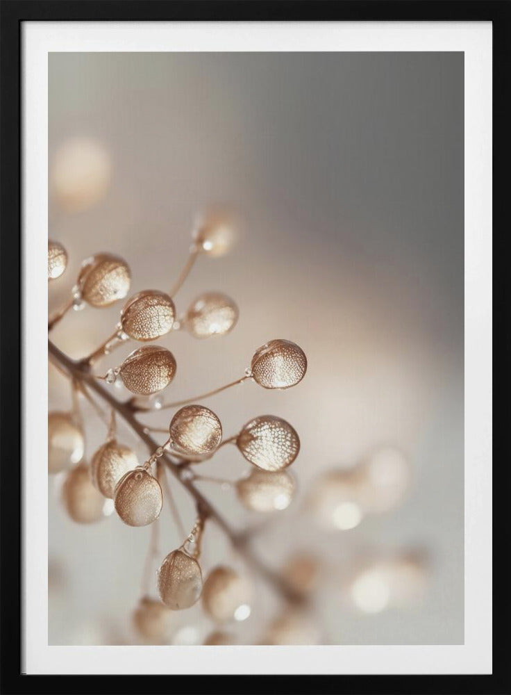 Gouden Dauwdruppels | Poster