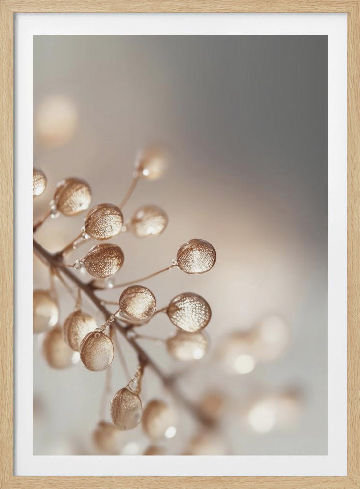Gouden Dauwdruppels | Poster