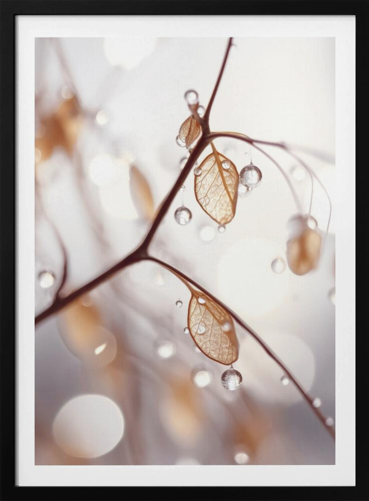 Dauwgekuste elegantie | Poster