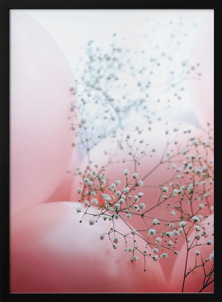 Delicate ballonnen met bloem | Poster