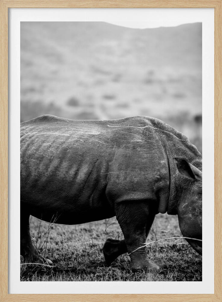 Zachte Reuzenwandeling | Poster