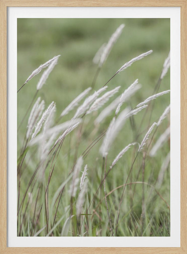 Fluisterende Weiden | Poster