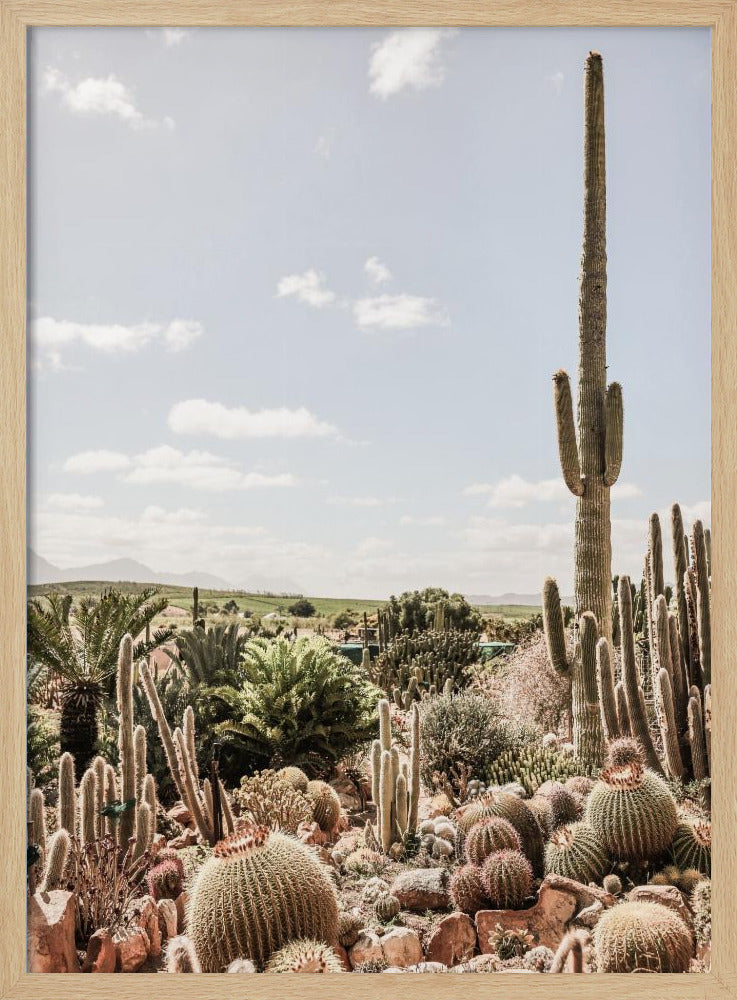 Desert Symphony | Poster
