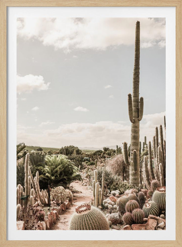 Cactusboerderij | Poster