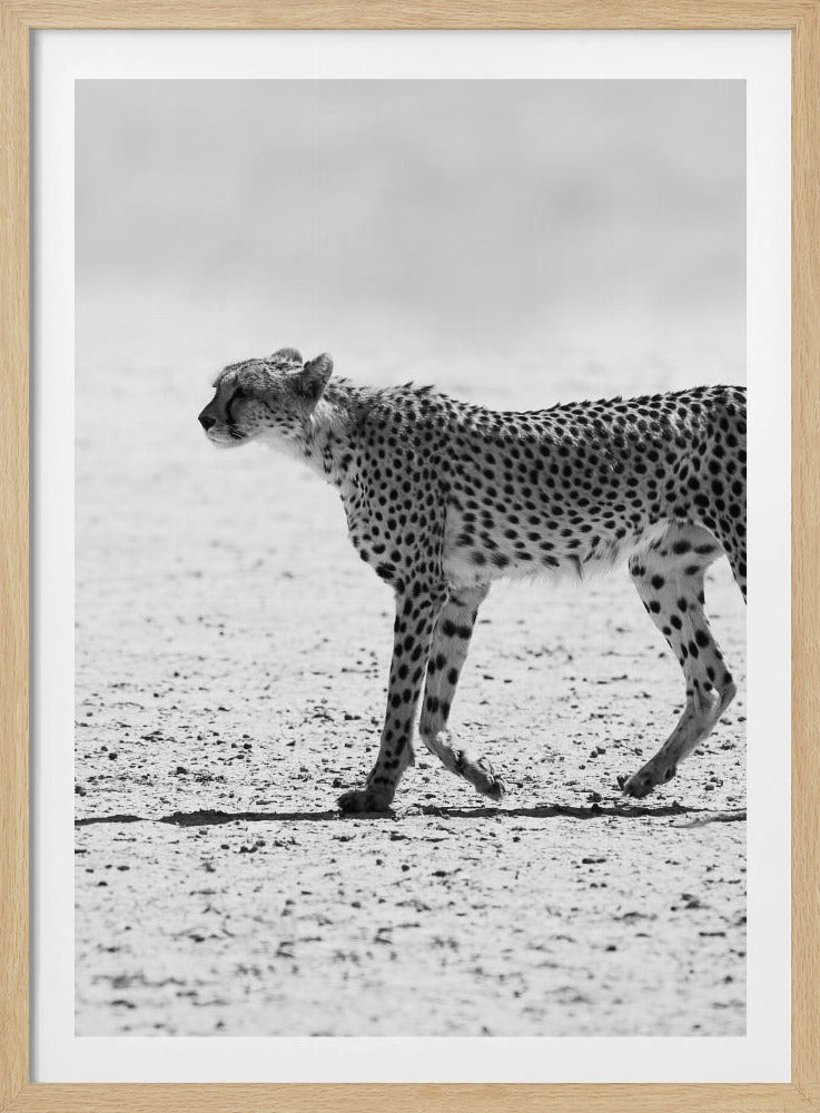 Stille Achtervolging | Poster