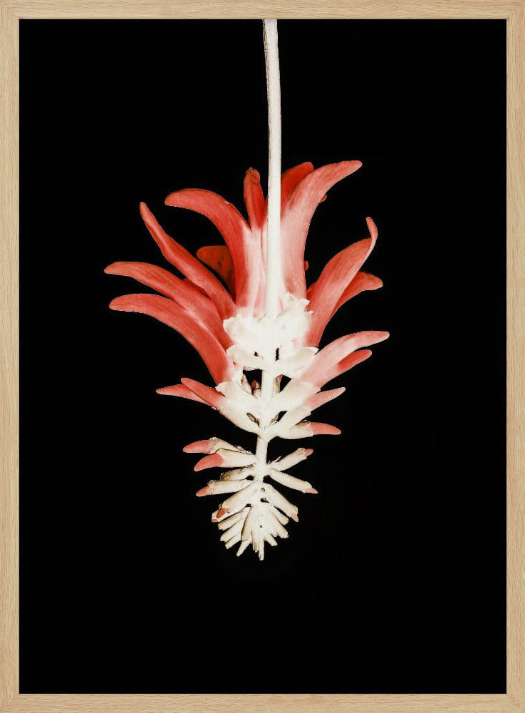 Bloembladskeletfusie | Poster