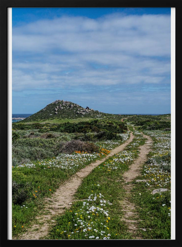 Pathway to Serenity | Poster