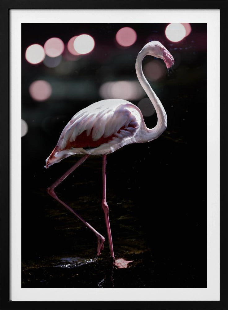 Elegante flamingo | Poster