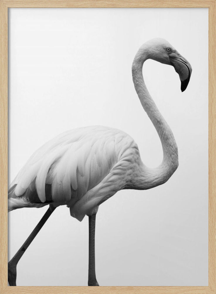 Sierlijk silhouet | Poster