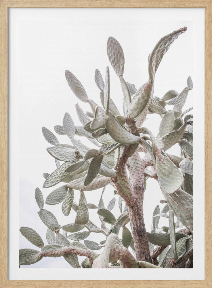 Cactus Whispers | Poster