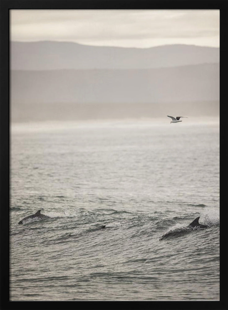 Ocean's Dance | Poster