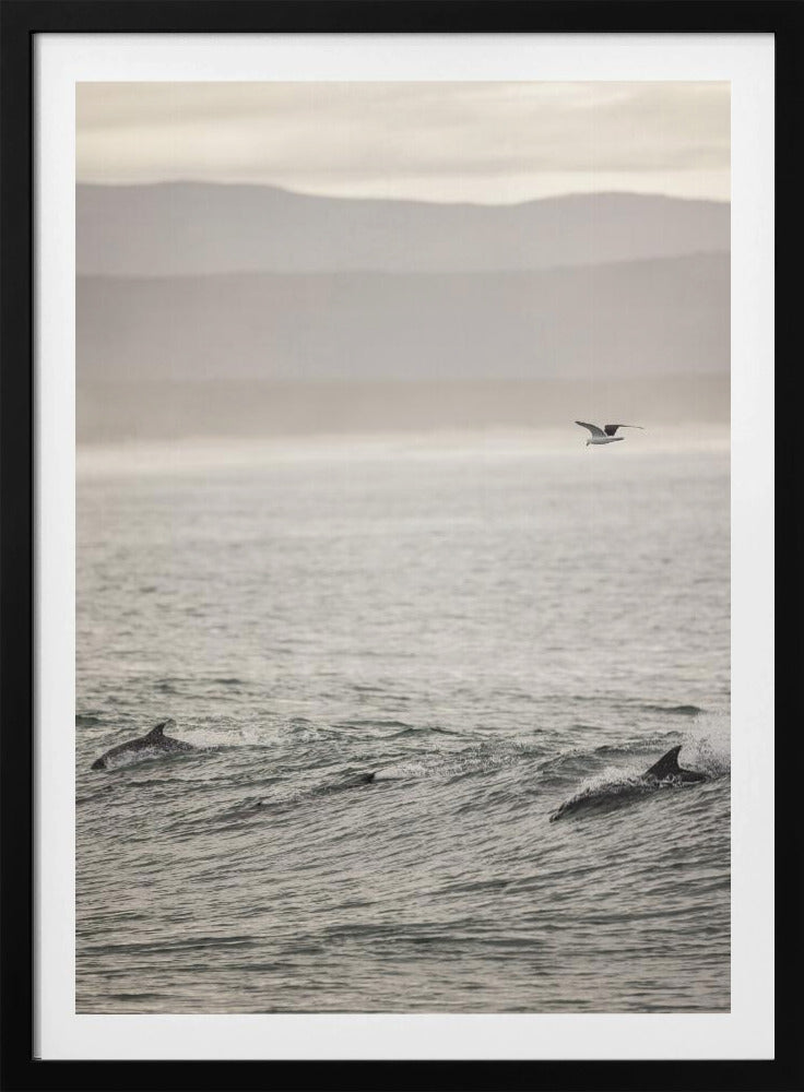 Ocean's Dance | Poster