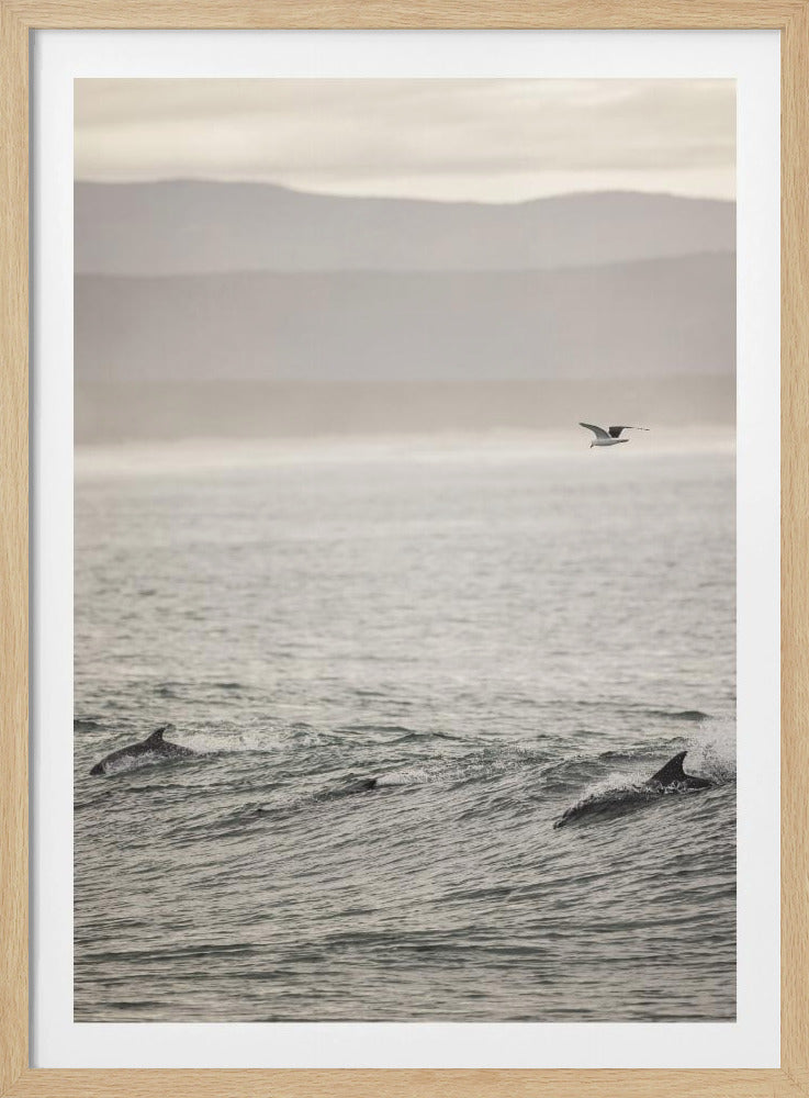 Ocean's Dance | Poster