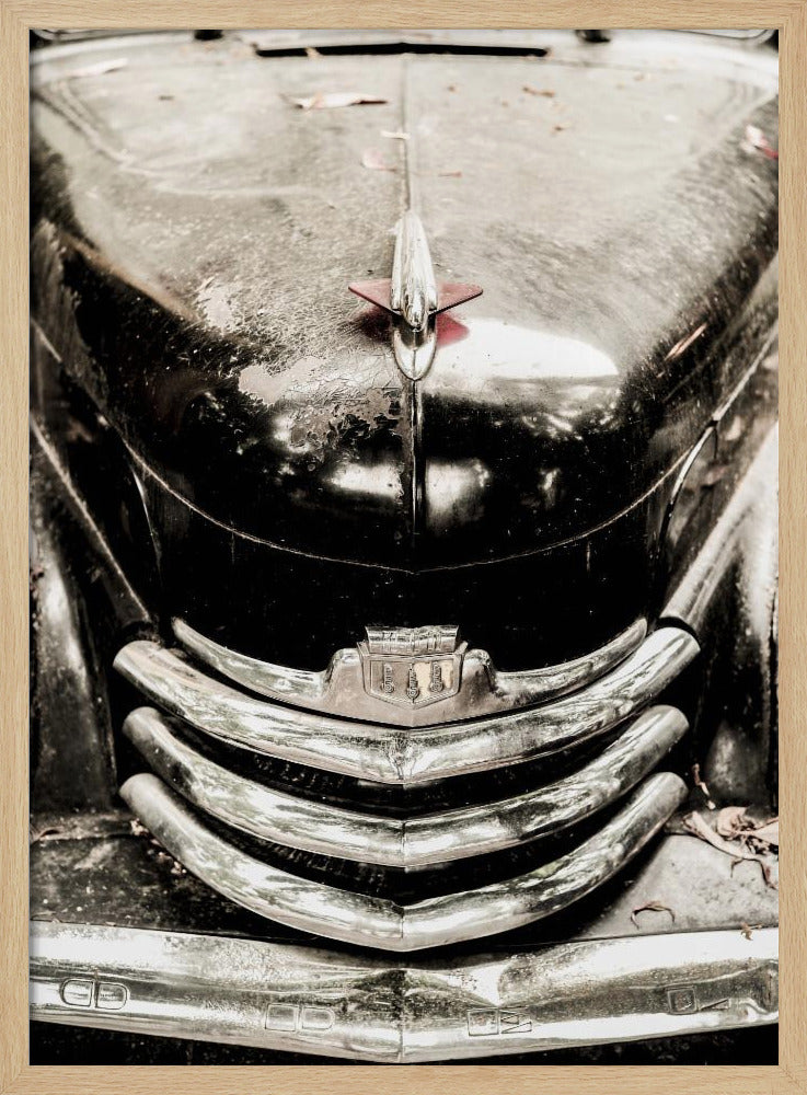 Vintage elegantie | Poster
