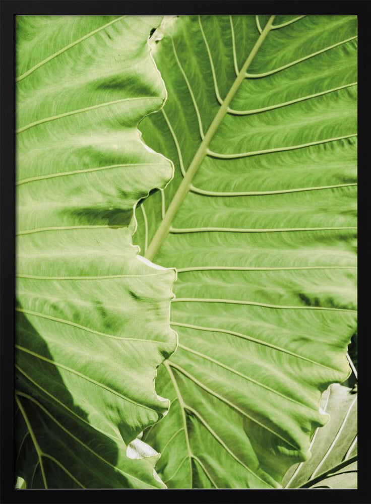 Groene golven | Poster