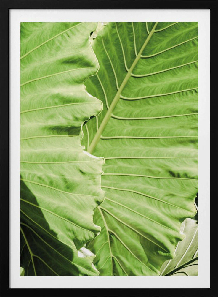 Groene golven | Poster
