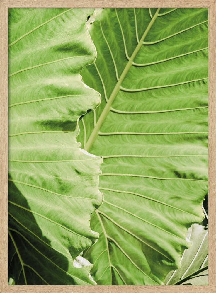 Groene golven | Poster